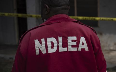 Former NDLEA chairman dies