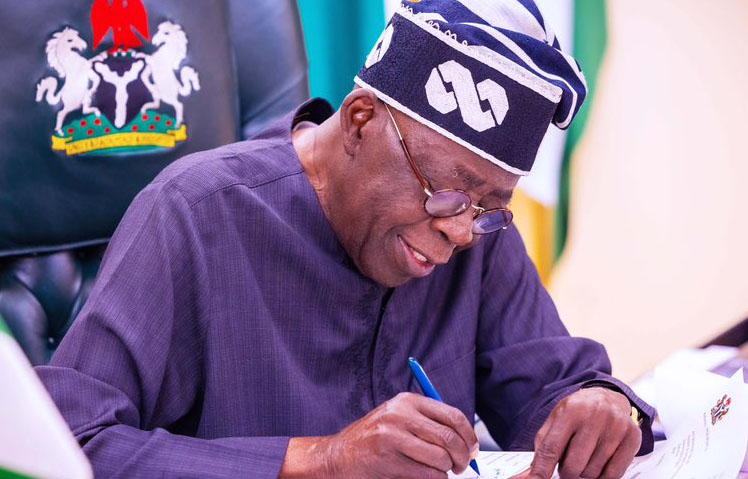 Tinubu makes new appointment